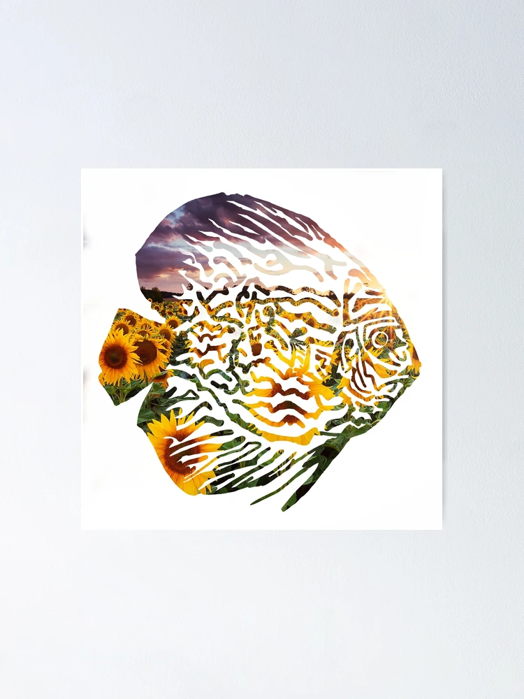 Thumbnail 1 of 3, Poster, Discus Fish designed and sold by CHAT0NS.