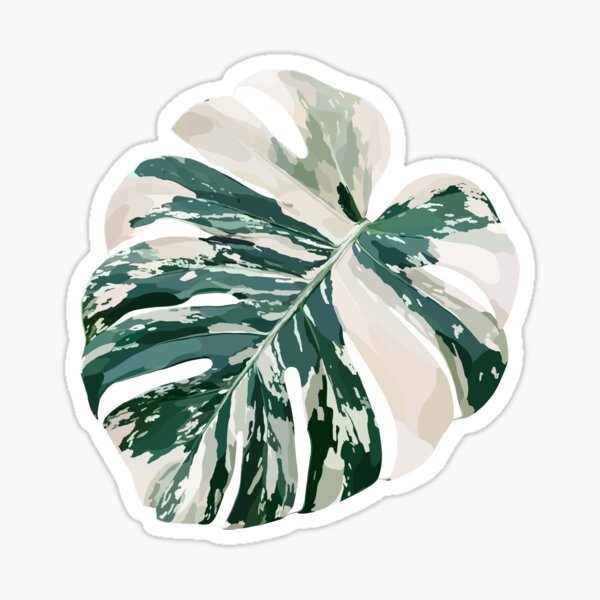 Vista previa del artículo con la obra «Monstera Albo Variegata», diseñado y vendido por hugprincess.