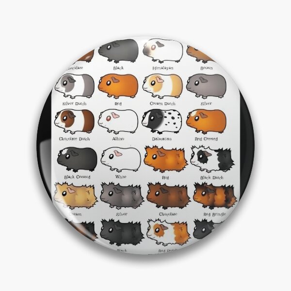 Aperçu de l'œuvre Cochon d'Inde – Collection Cavy – Modèle 08 créée et vendue par yzxgptjzsjr65.