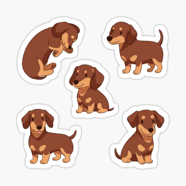 Produits sur le th me Chibi Dachshund Redbubble