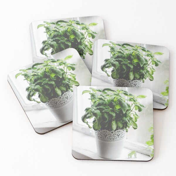 Item preview, Basil at the window designed and sold by CornBean.