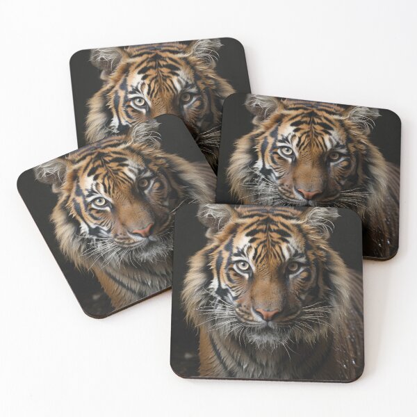 Item preview, Tiger portrait designed and sold by Kim Kanger.