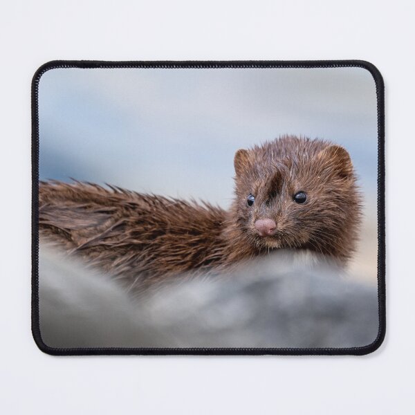 Item preview, On The Hunt designed and sold by Greg Birkett.