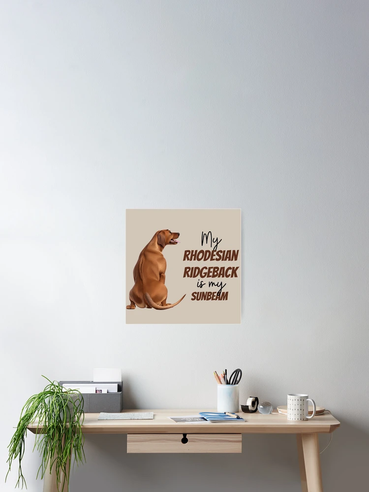 Thumbnail 2 of 3, Poster, My Rhodesian Ridgeback is my sumbeam designed and sold by ChickNickStudio.