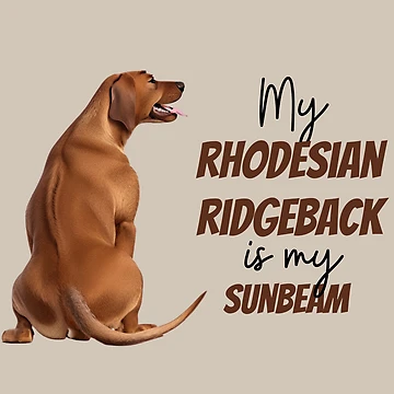 Artwork thumbnail, My Rhodesian Ridgeback is my sumbeam by ChickNickStudio
