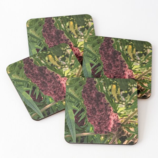 Item preview, Staghorn Sumac Photographic Print designed and sold by marvacousins246.