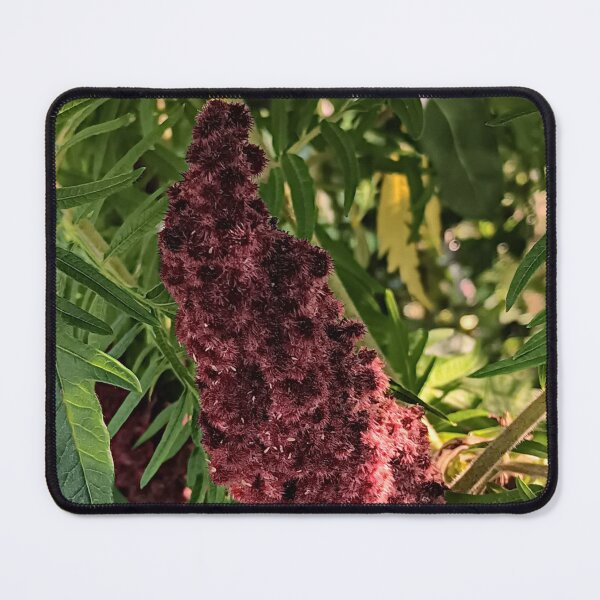 Item preview, Staghorn Sumac Photographic Print designed and sold by marvacousins246.