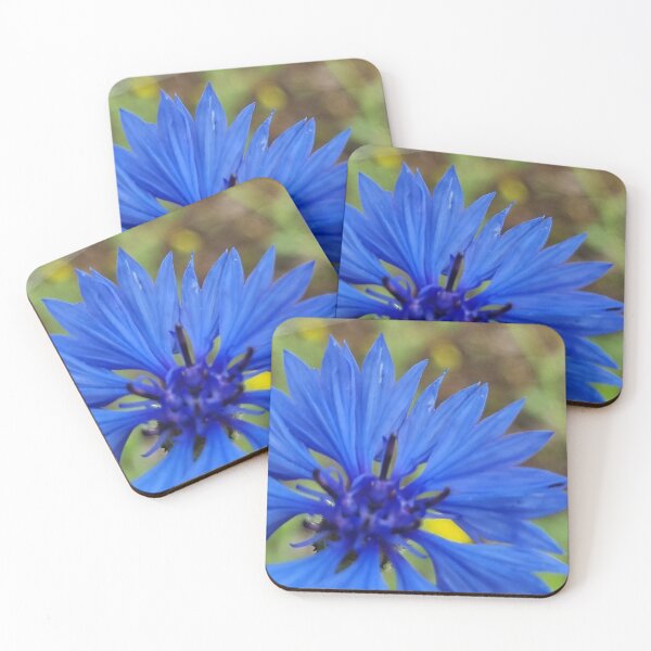 Item preview, Blue Cornflower designed and sold by ArtbyLinnzy.
