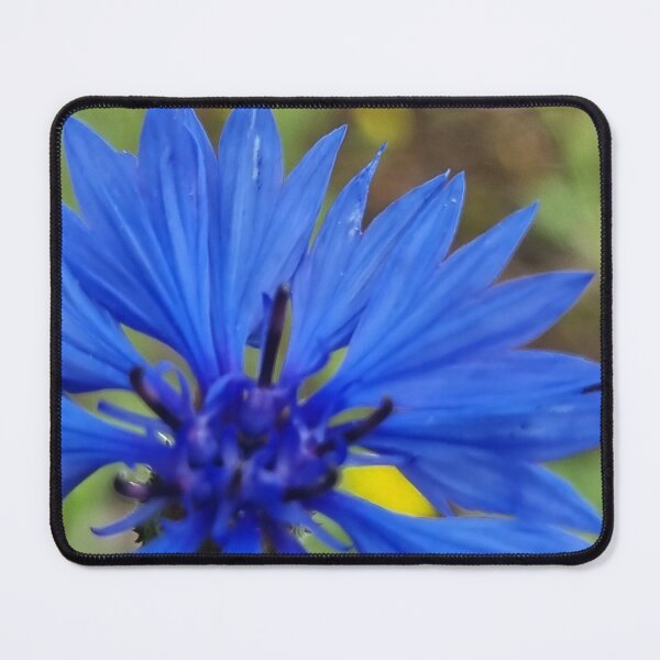 Item preview, Blue Cornflower designed and sold by ArtbyLinnzy.