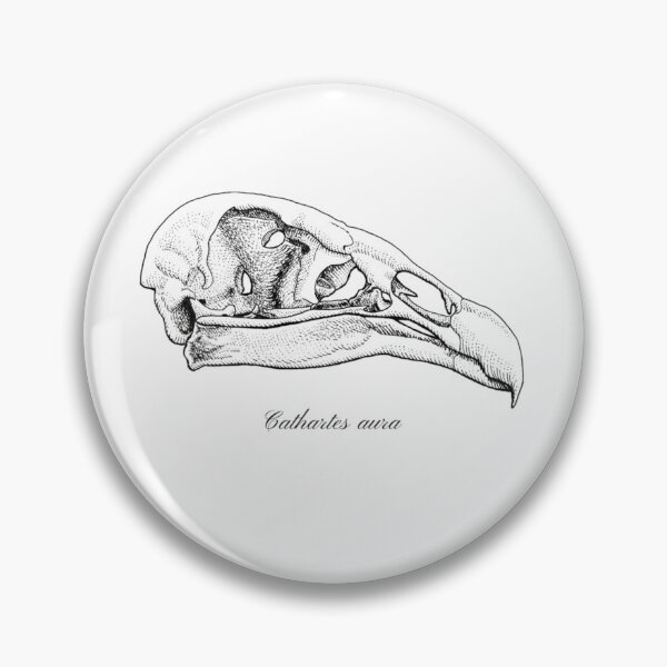 Item preview, Turkey vulture skull in ink 	 	 designed and sold by kajjacykcjn14.