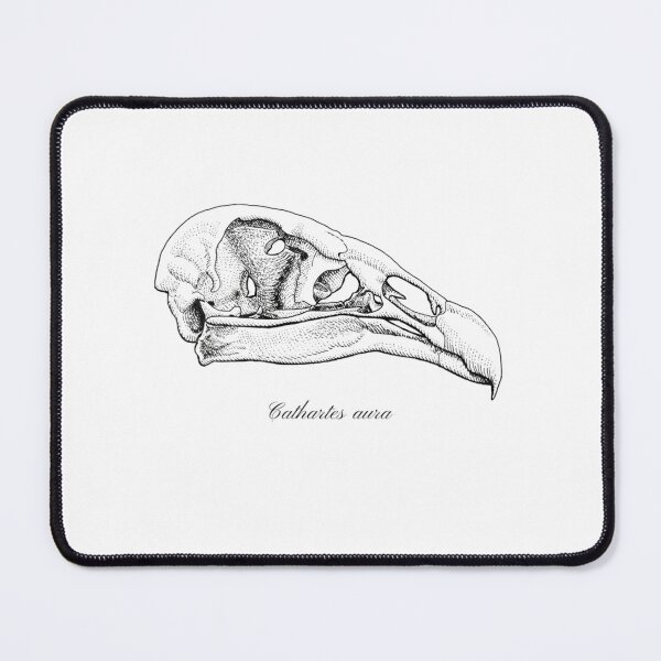 Item preview, Turkey vulture skull in ink 	 	 designed and sold by kajjacykcjn14.