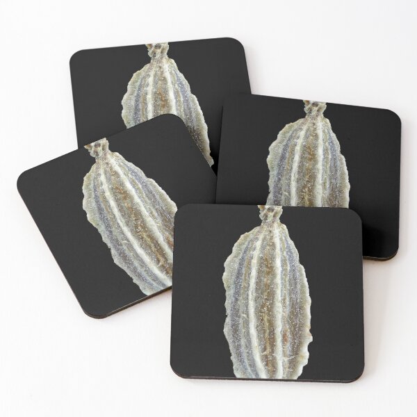 Item preview, Carrot seed under microscope designed and sold by SDym Photography.