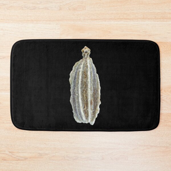 Item preview, Carrot seed under microscope designed and sold by SDym Photography.
