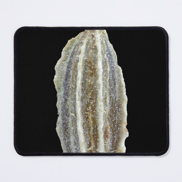 Item preview, Carrot seed under microscope designed and sold by SDym Photography.