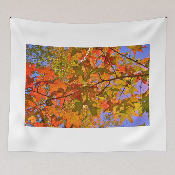 Item preview, Autumn Colors designed and sold by LisaWootenPhoto.