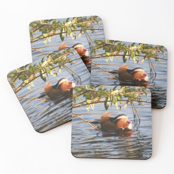 Item preview, Male Mandarin Duck Floating under Foliage Photograph designed and sold by naturegallery.