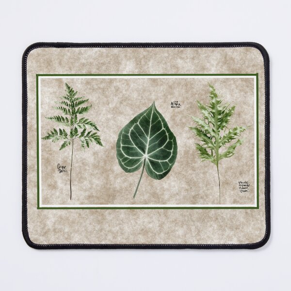 Item preview, Plants designed and sold by kshipley52.