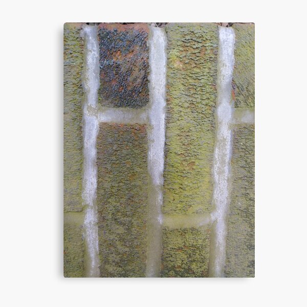 Green, surface, homogenous, smuth Metal Print