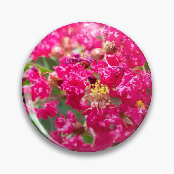 Item preview, Crape Myrtles Tree Lagerstroemia X100  designed and sold by RichFrancoCars.