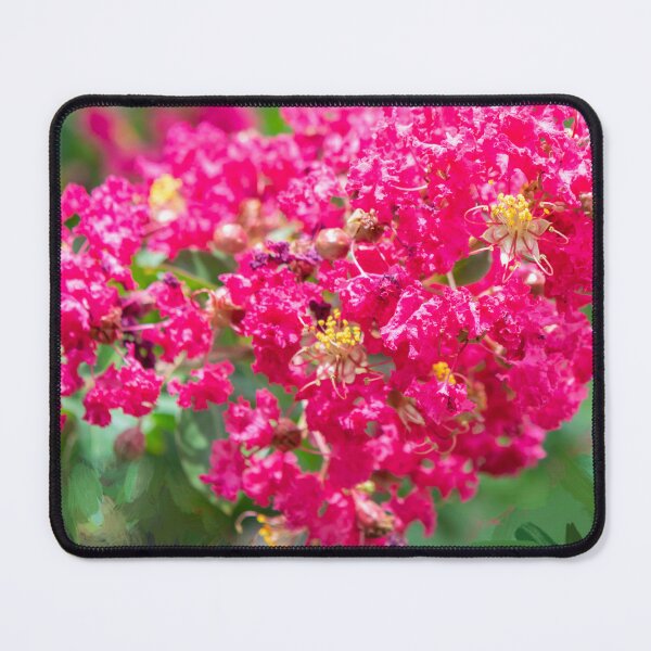 Item preview, Crape Myrtles Tree Lagerstroemia X100  designed and sold by RichFrancoCars.