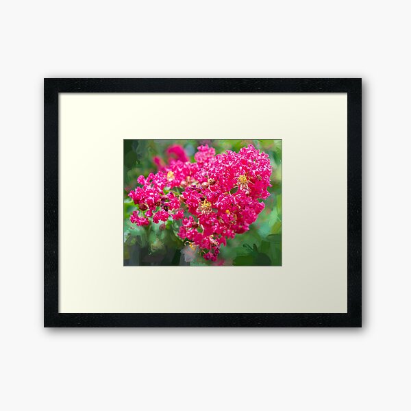 Item preview, Crape Myrtles Tree Lagerstroemia X100  designed and sold by RichFrancoCars.