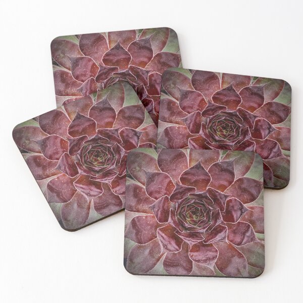 Item preview, Purple succulent designed and sold by HopeGonzo.