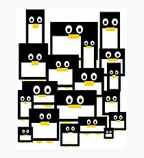 Penguin Diversity Photographic Print