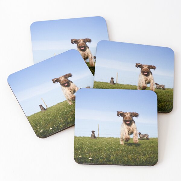 Item preview, Incoming Italian Spinone designed and sold by FOLK ART FUSION by heidiannemorris.