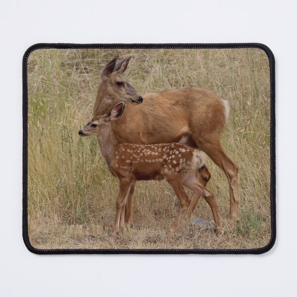 Item preview, Doe and Fawn designed and sold by vernonite.