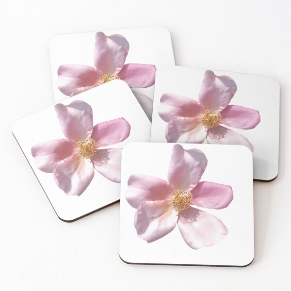 Item preview, Rosa chinensis Jacq designed and sold by flowervibes101.