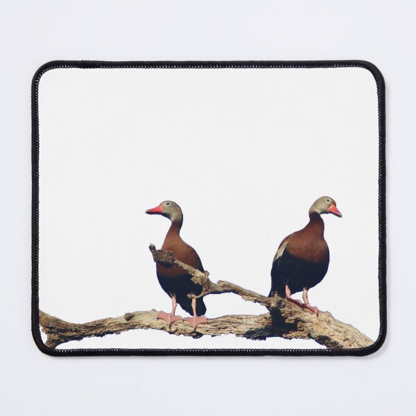 Item preview, Two little ducks up high in a tree designed and sold by Adam Hearne.