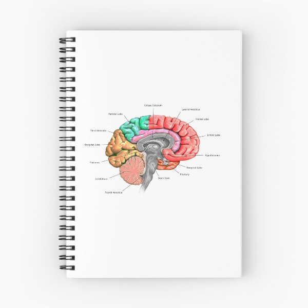 Item preview, Brain  designed and sold by ciarameadows.