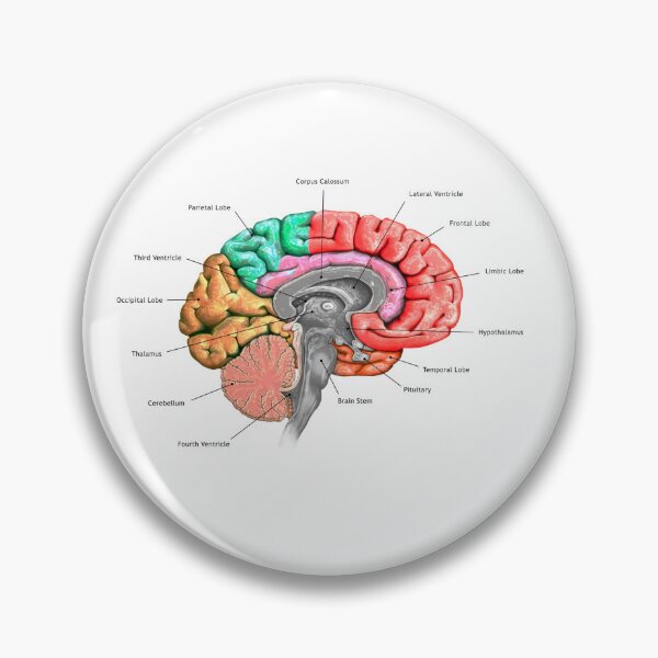 Item preview, Brain  designed and sold by ciarameadows.