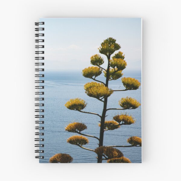 Item preview, agave americana designed and sold by KellyRHarding.