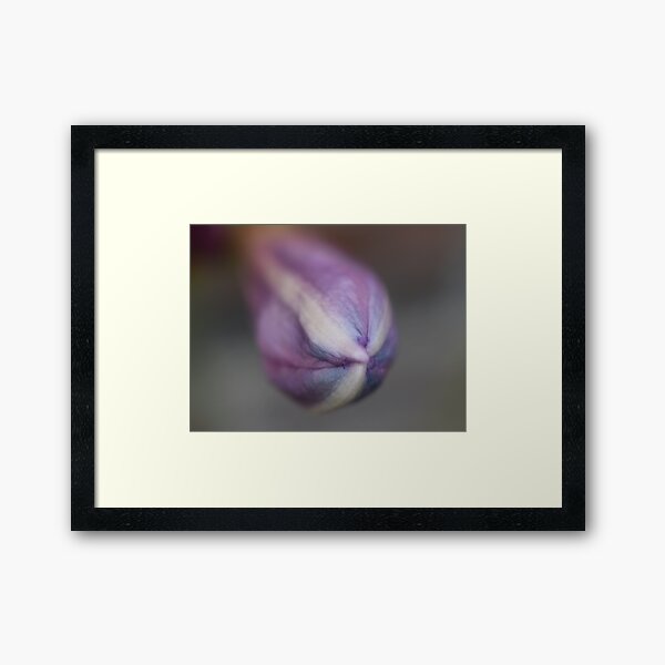 Item preview, Surprise Lily Bud designed and sold by Tonia Delozier's Photography .