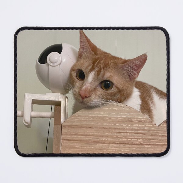 Item preview, Enchanting Innocence: A Captivating Gaze designed and sold by Princessgi.