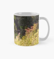 Beauty Mug