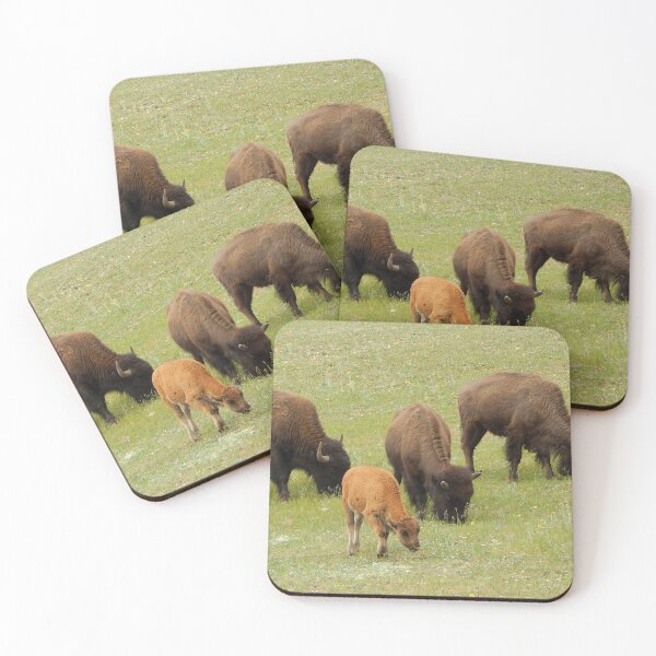 Item preview, Baby bison North Rim Grand Canyon designed and sold by gistinker.