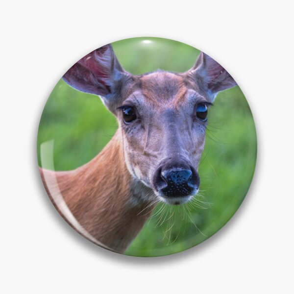 Item preview, Doe A Deer designed and sold by barkeypf.