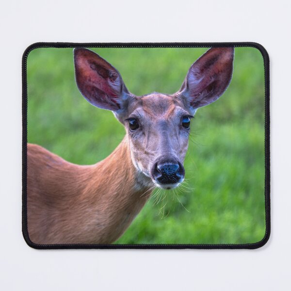 Item preview, Doe A Deer designed and sold by barkeypf.