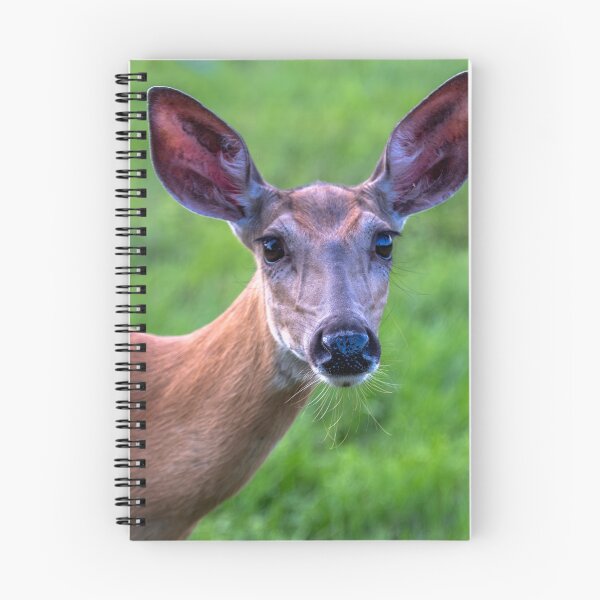 Item preview, Doe A Deer designed and sold by barkeypf.