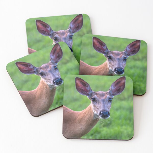 Item preview, Doe A Deer designed and sold by barkeypf.