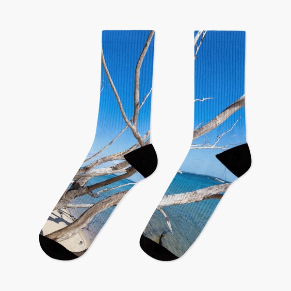 Item preview, Fraser Island and Kingfisher Bay Queensland designed and sold by Martin Berry Photography.