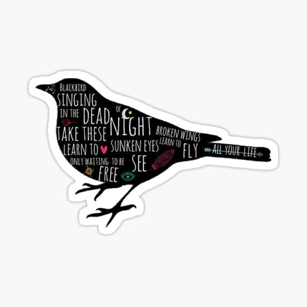 Blackbird Doodles Lyrics Sticker