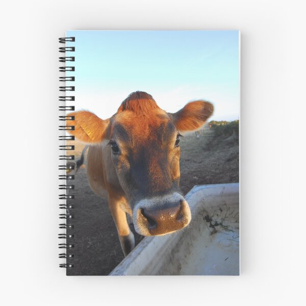 Item preview, Jersey Cow designed and sold by Mark Bowden.