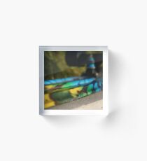 Skateboard Acrylic Block