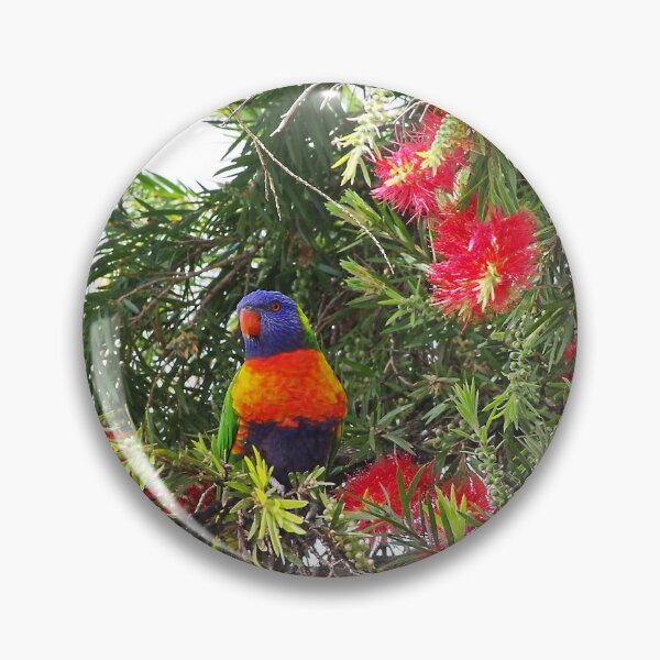 Item preview, Callistemon Lorikeet designed and sold by Penny Kittel.
