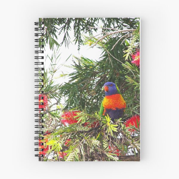 Item preview, Callistemon Lorikeet designed and sold by Penny Kittel.