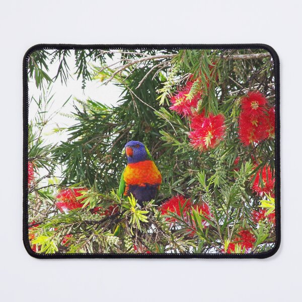 Item preview, Callistemon Lorikeet designed and sold by Penny Kittel.