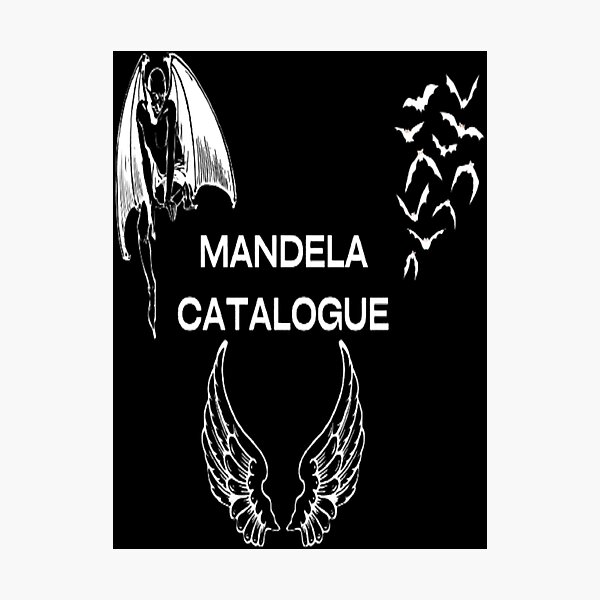 Mandela Catalogue Intruder Catboy [transparent] Art Board Print